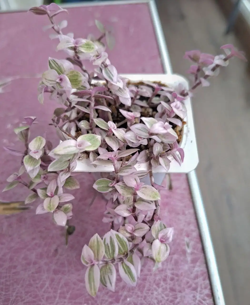 Продажа в Родниковой долине Волгограда - Барахолка в Волгоград