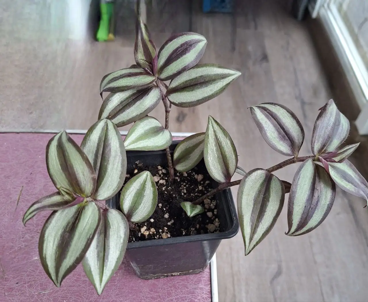 Продажа в Родниковой долине Волгограда - Барахолка в Волгоград