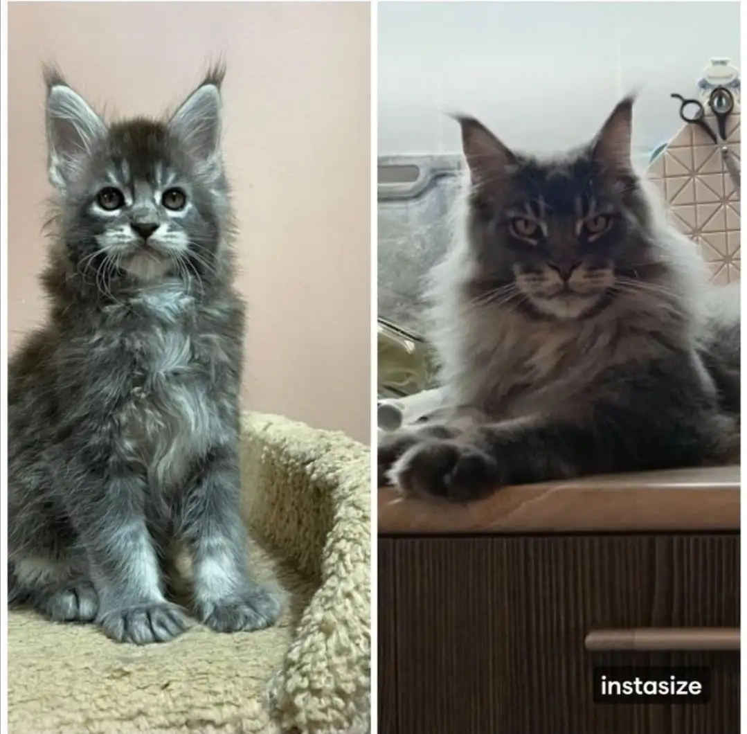 Продажа детской одежды в Волгограде - Детская одежда (Одежда) в Волгоград