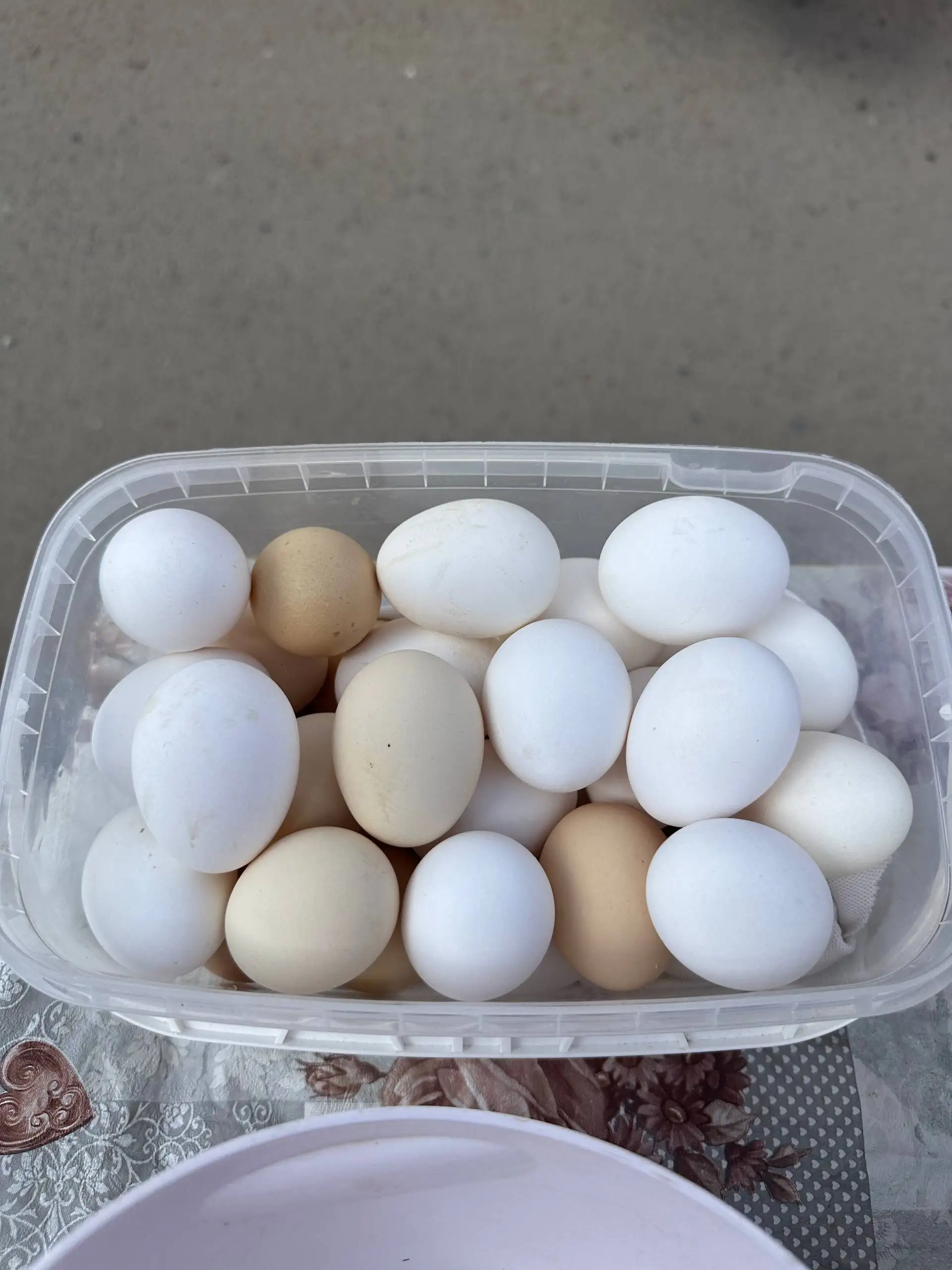 Домашняя продукция: яйца, огурцы, ягоды - Барахолка в Волгоград