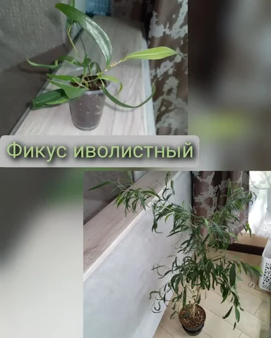 Товар за 250 руб. - Разное в Волгоград