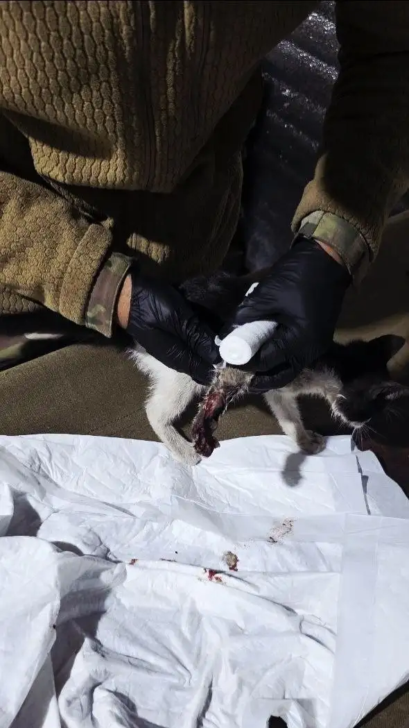 Такие маленькие пациенты не остаются без внимания медиков - Здравоохранение (Услуги) в Волгоград