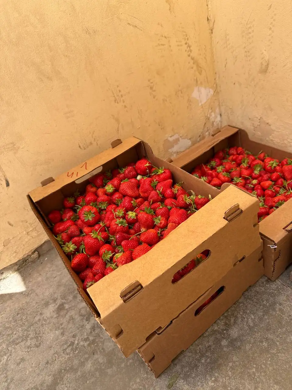 Клубника свежая, 400₽/кг - Продукты питания (Услуги) в Волгоград