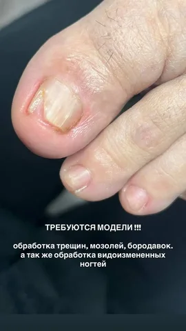 Продажа комнатных растений с доставкой и без - Водонагреватели в Волгоград