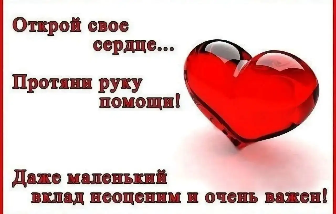 Срочная помощь фронту: аптечки и медикаменты - Барахолка в Волгоград