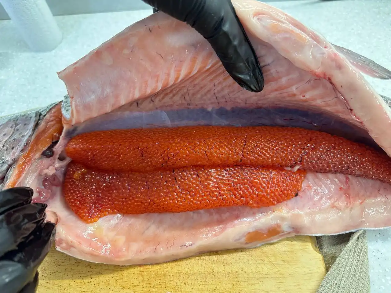 Продажа форели из Северной Осетии