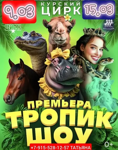 Поездка на шоу "Тропик" в Курский цирк на автобусе - Рукоделие/Подарки в Белгород