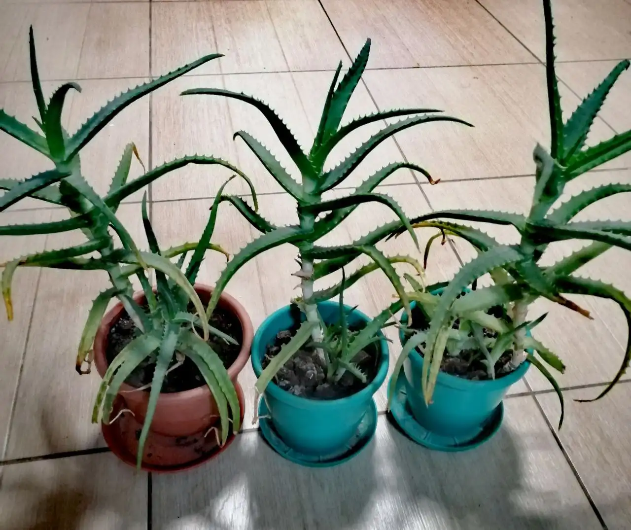 Продажа одежды и обуви