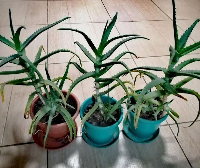 Продажа одежды и обуви - Одежда в Белгород