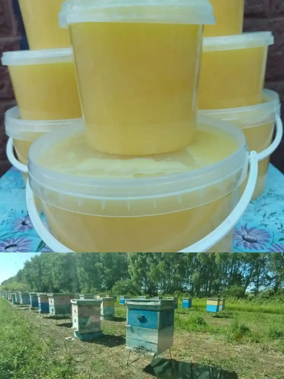 Мед донниковый излишки со своей пасеки