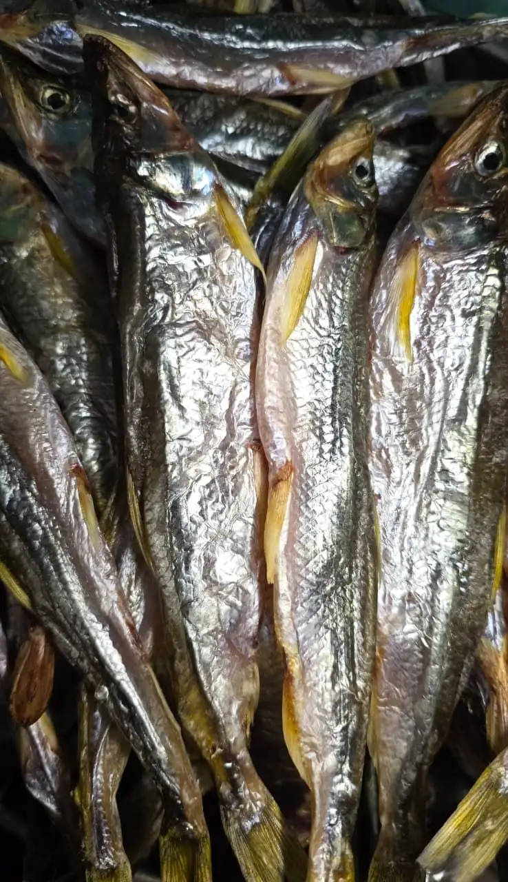 Продажа вяленой и слабосоленой корюшки серебро в Хабаровске - Продукты питания (Барахолка) в Хабаровск