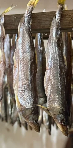 Вкусная вяленая корюшка - Детские товары в Хабаровск