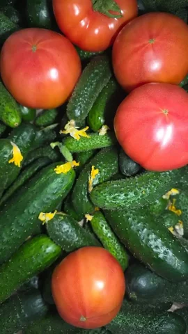 Продажа свежих огурчиков, помидорок и зелени в Хабаровске - null в Хабаровск
