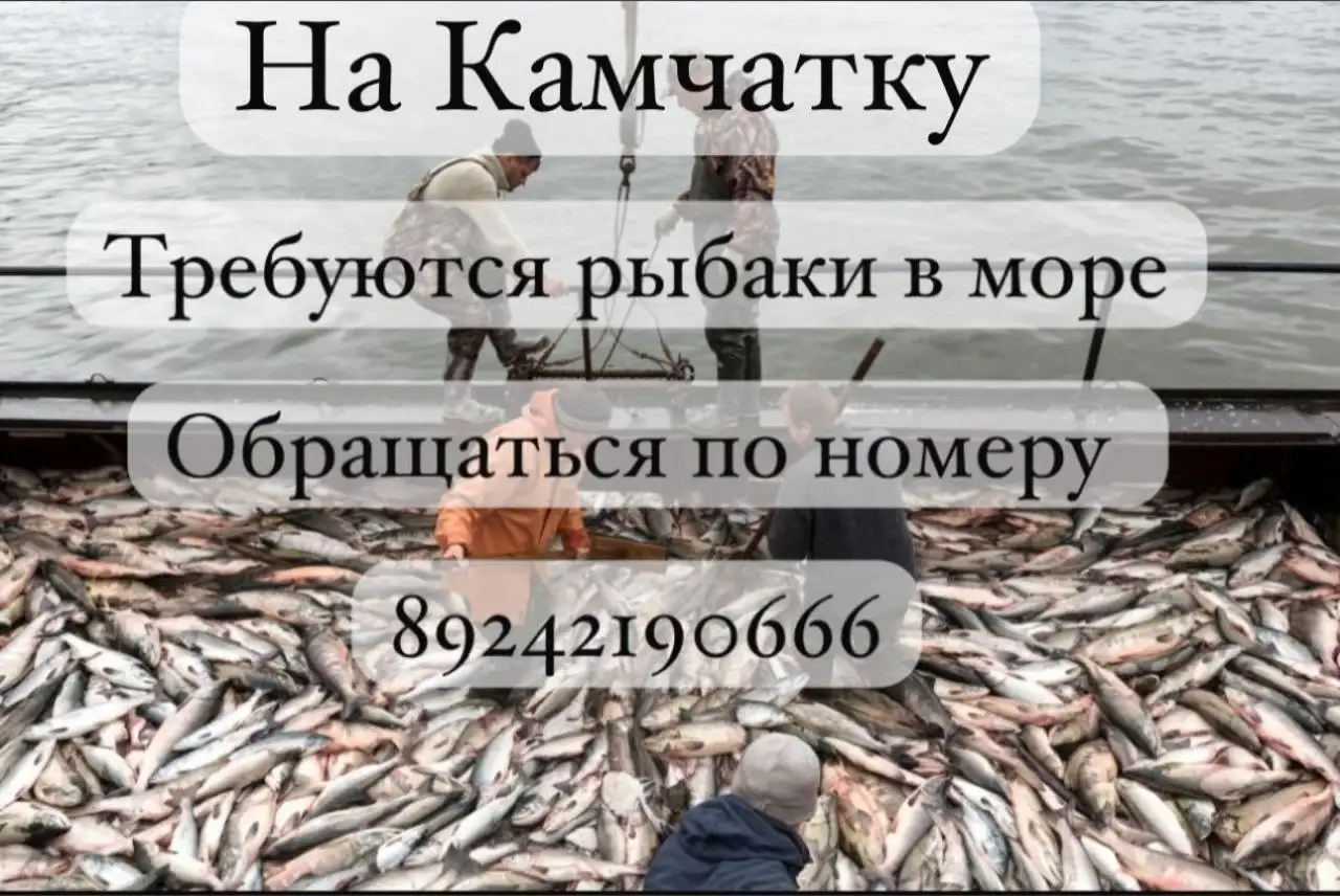 Набор рыбаков и мотористов на лодки для работы на Камчатке - Морские профессии (Работа) в Хабаровск