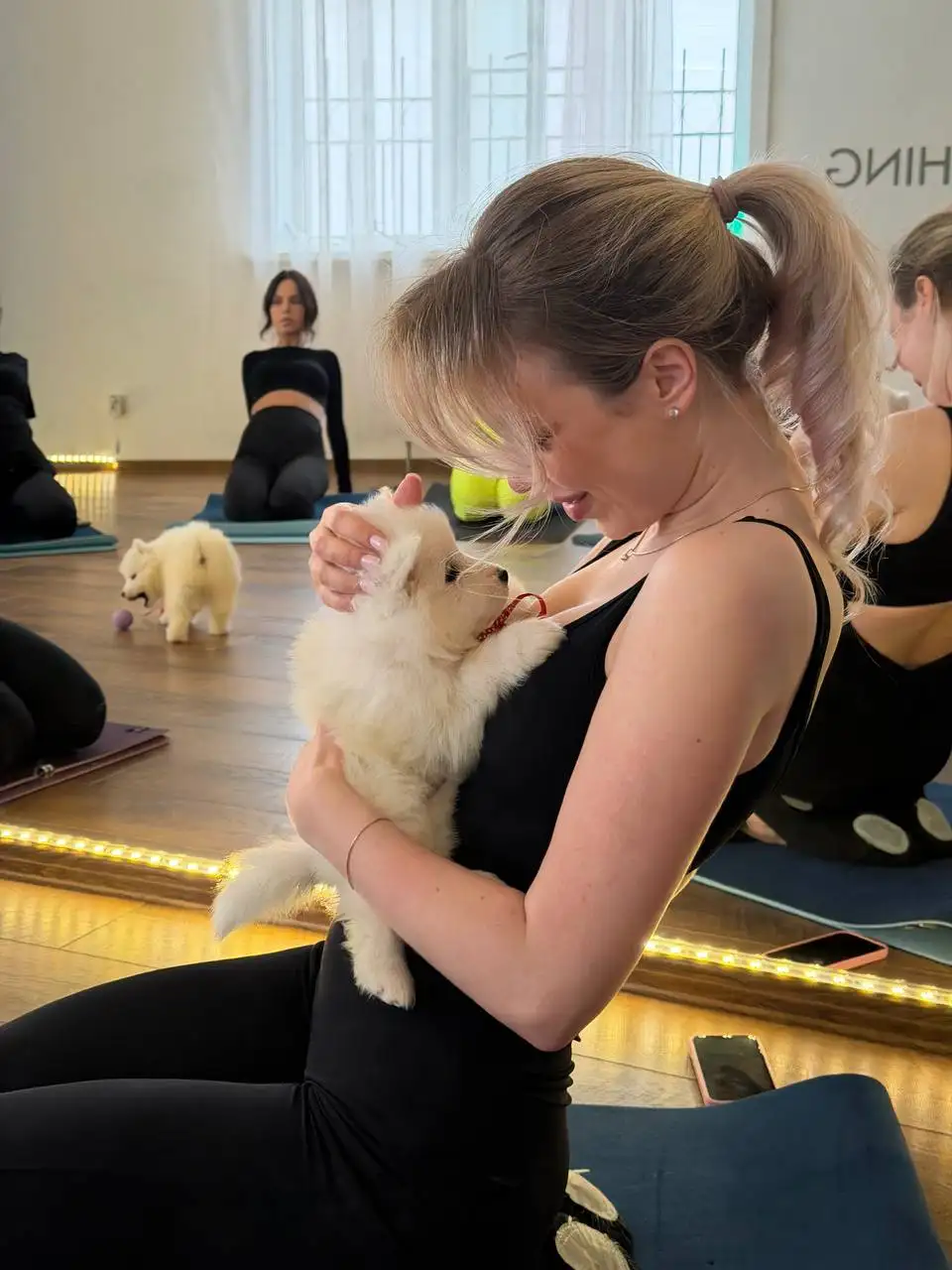 Йога со щенками самоедов в центре города - Йога (Хобби и отдых) в Хабаровск