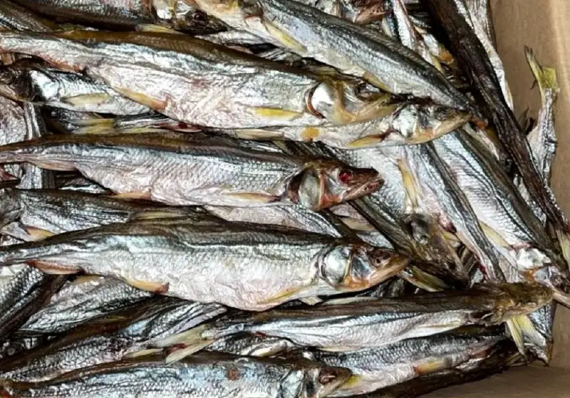Продажа сушеной корюшки - Продукты питания (Барахолка) в Хабаровск