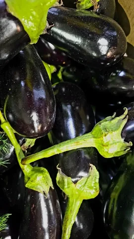 Свежие экопродукты - вкусные баклажаны - Магниты в Хабаровск