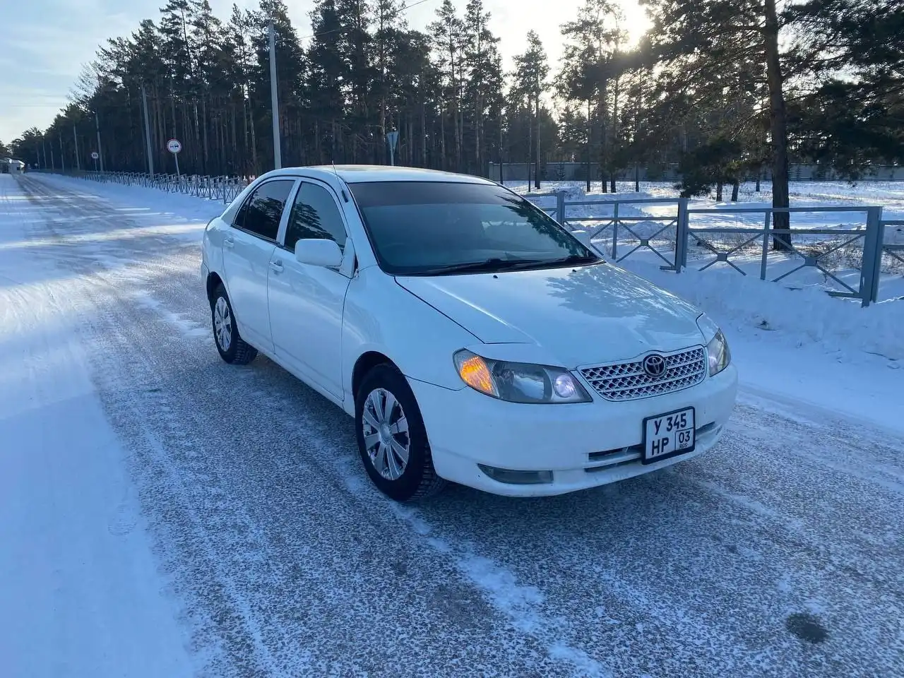 Продам королку