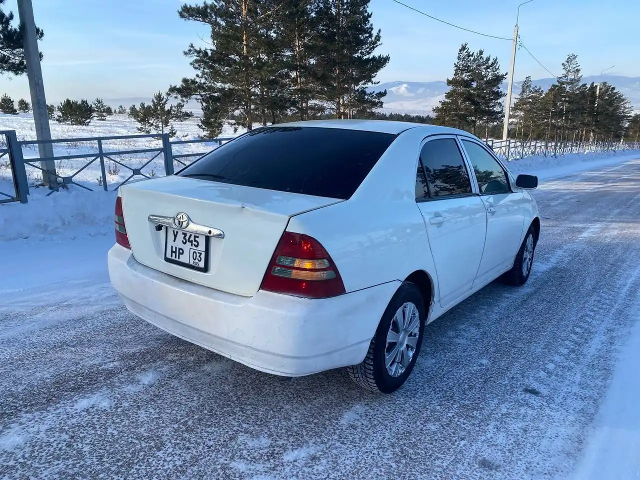 Продам королку