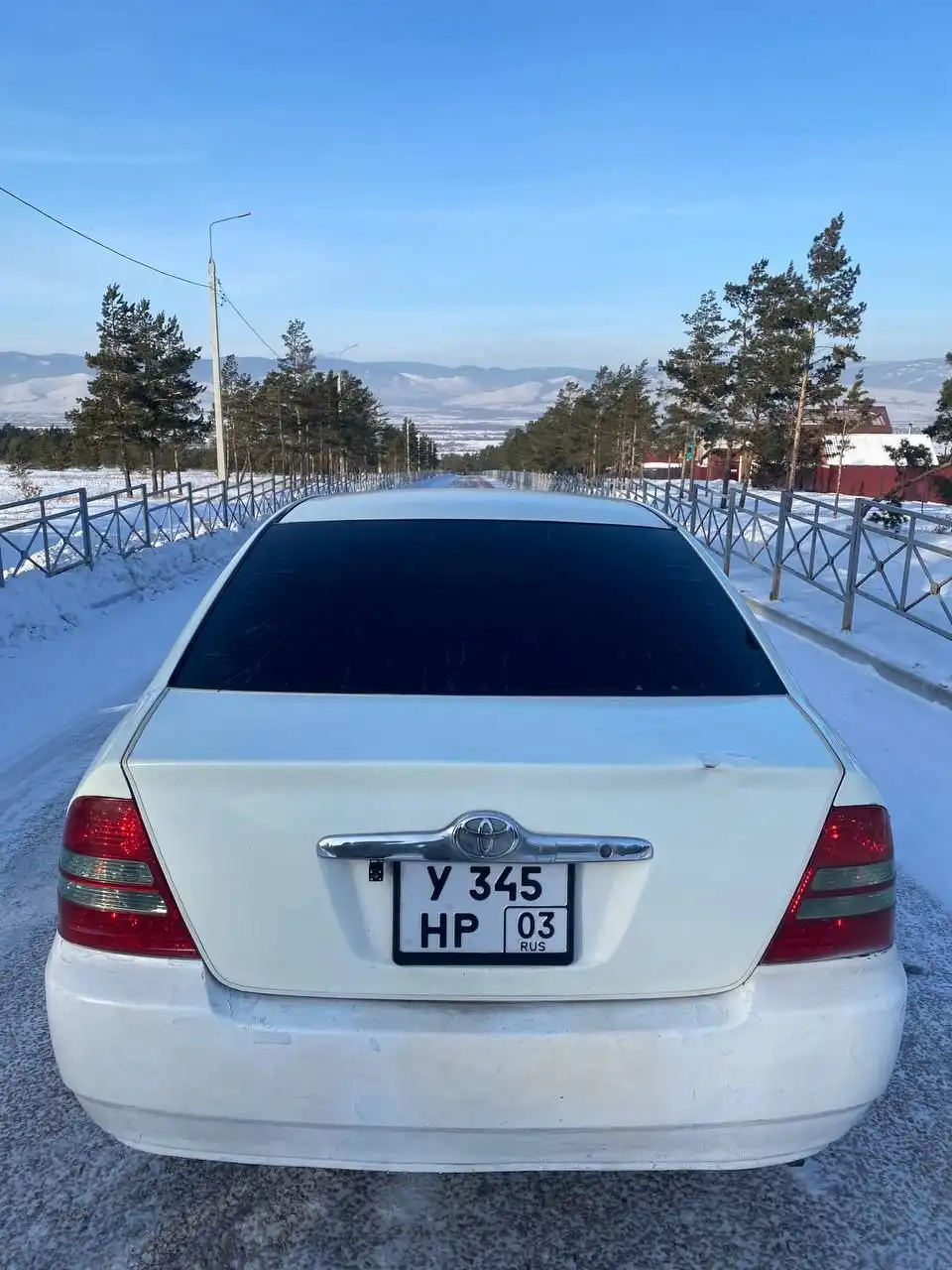 Продам королку