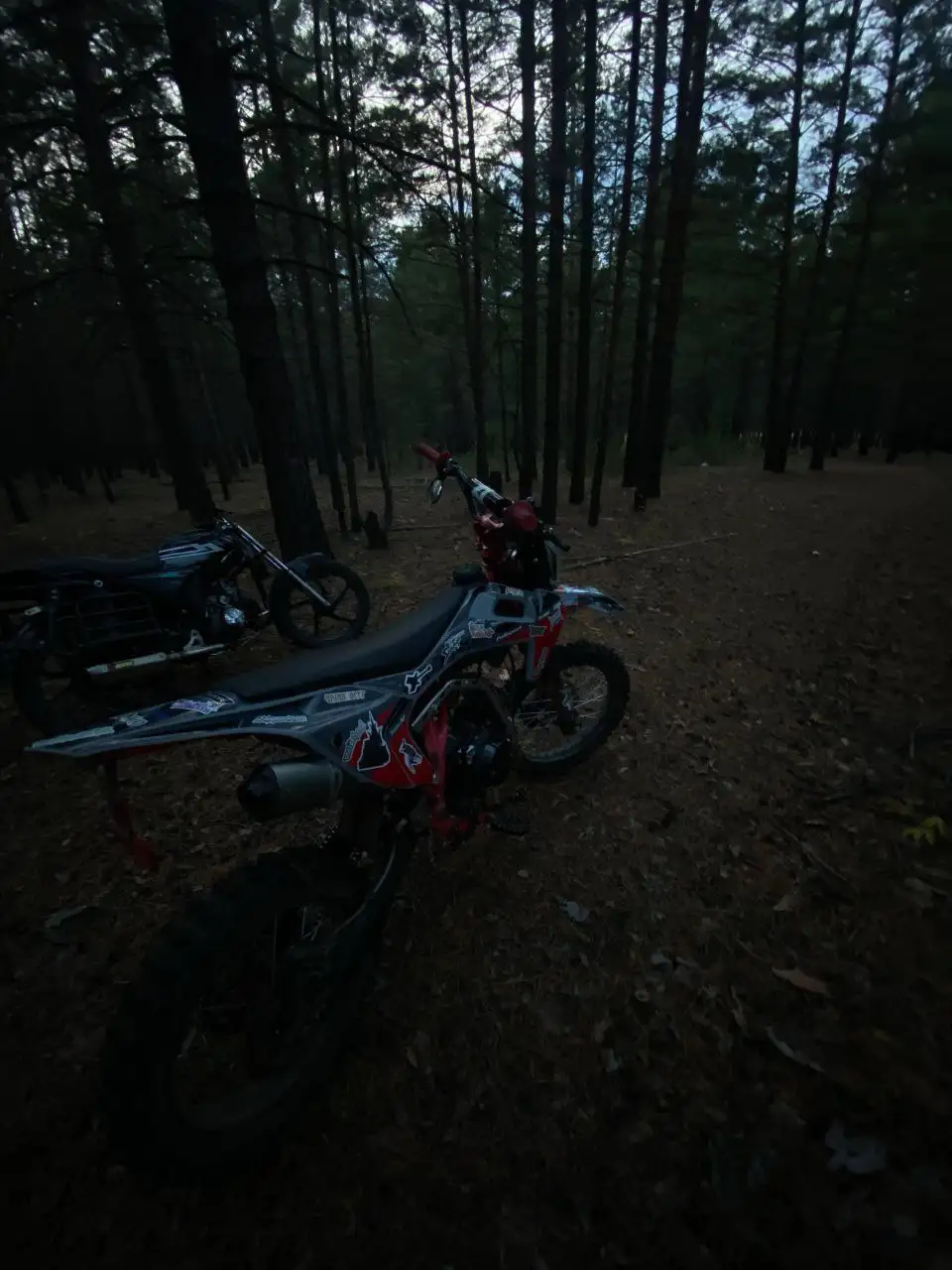 Продажа Racer Pitbike Z1 125cc 2024 года - Мотоциклы (Авто) в Хоринск