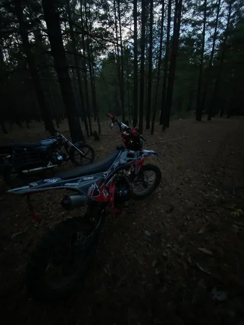 Продажа Racer Pitbike Z1 125cc 2024 года - Авто в Хоринск