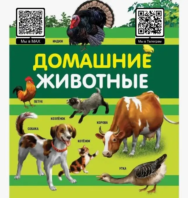 Объявление о продаже домашних и сельскохозяйственных животных и зоотоваров - Животные в Улан-Удэ