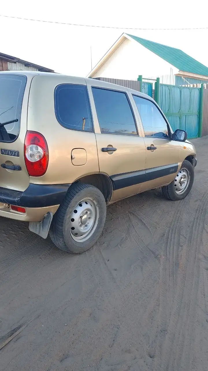 Нива Шевроле 2004 года - Внедорожник (Авто) в Новая Брянь