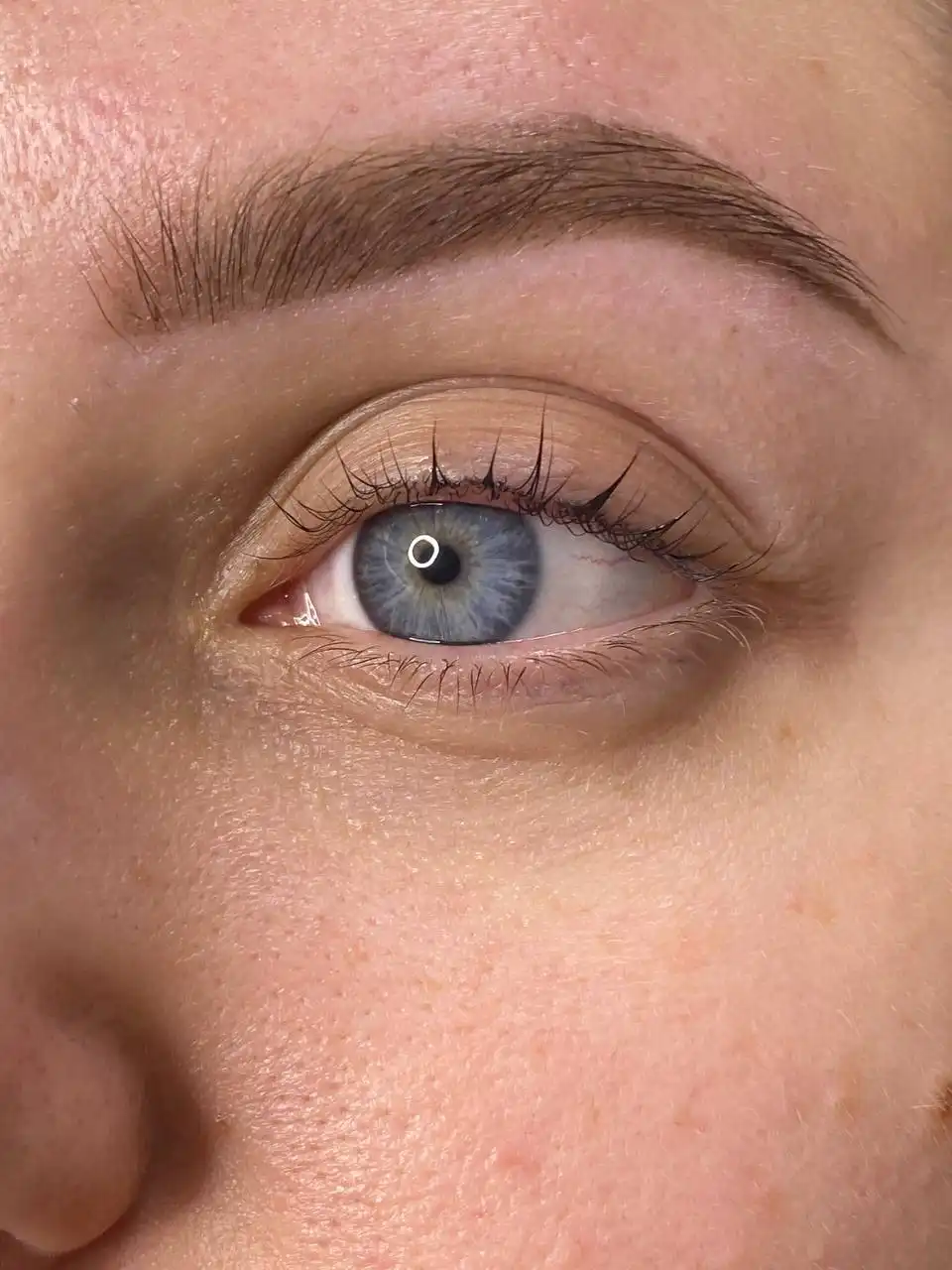 Услуги по оформлению бровей и ламинированию ресниц на дому - Красота и здоровье (Услуги) в Белгород