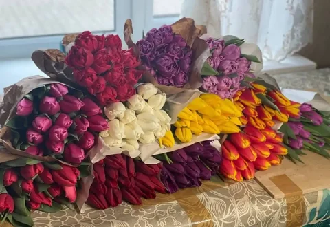 Заказ тюльпанов к 8 марта - Рукоделие/Подарки в Белгород