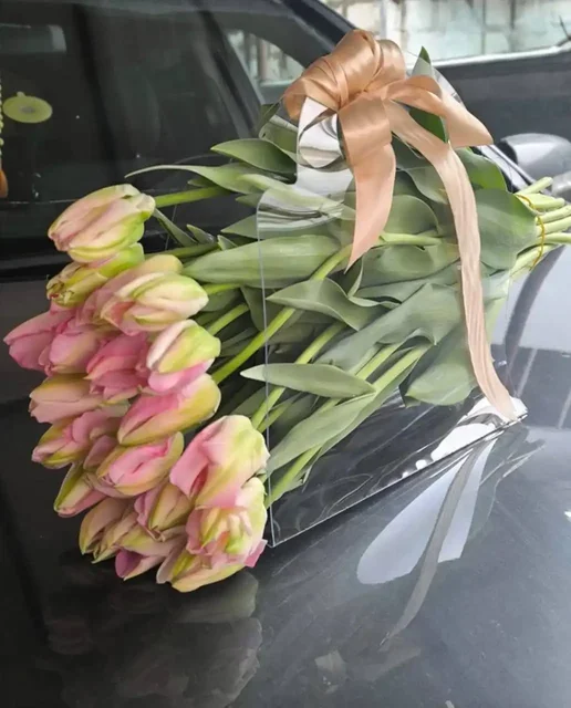 Заказ тюльпанов к 8 марта - Аквариумистика в Белгород