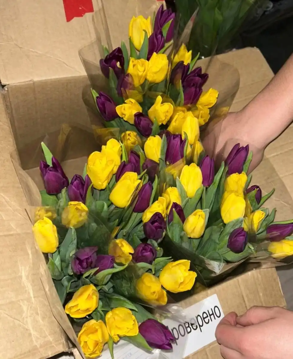 Заказ тюльпанов к 8 марта - Барахолка в Белгород