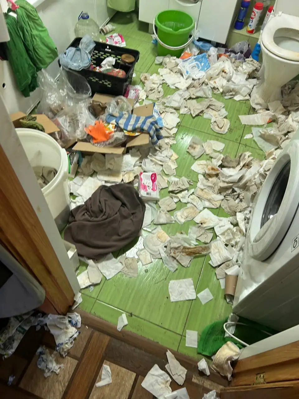 Компания "Белая Перчатка" - Услуги по уборке квартир, домов и производственных помещений - Клининговые услуги (Услуги) в Белгород