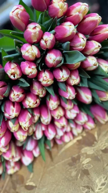 Тюльпаны к 8 марта с доставкой - Макраме в Белгород