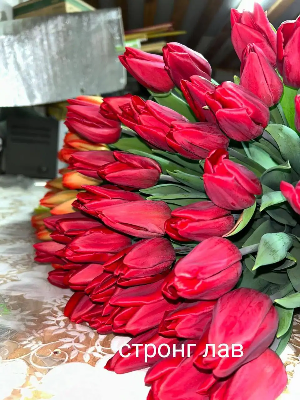 Тюльпаны к 8 марта с доставкой - Цветы (Хобби и отдых) в Белгород