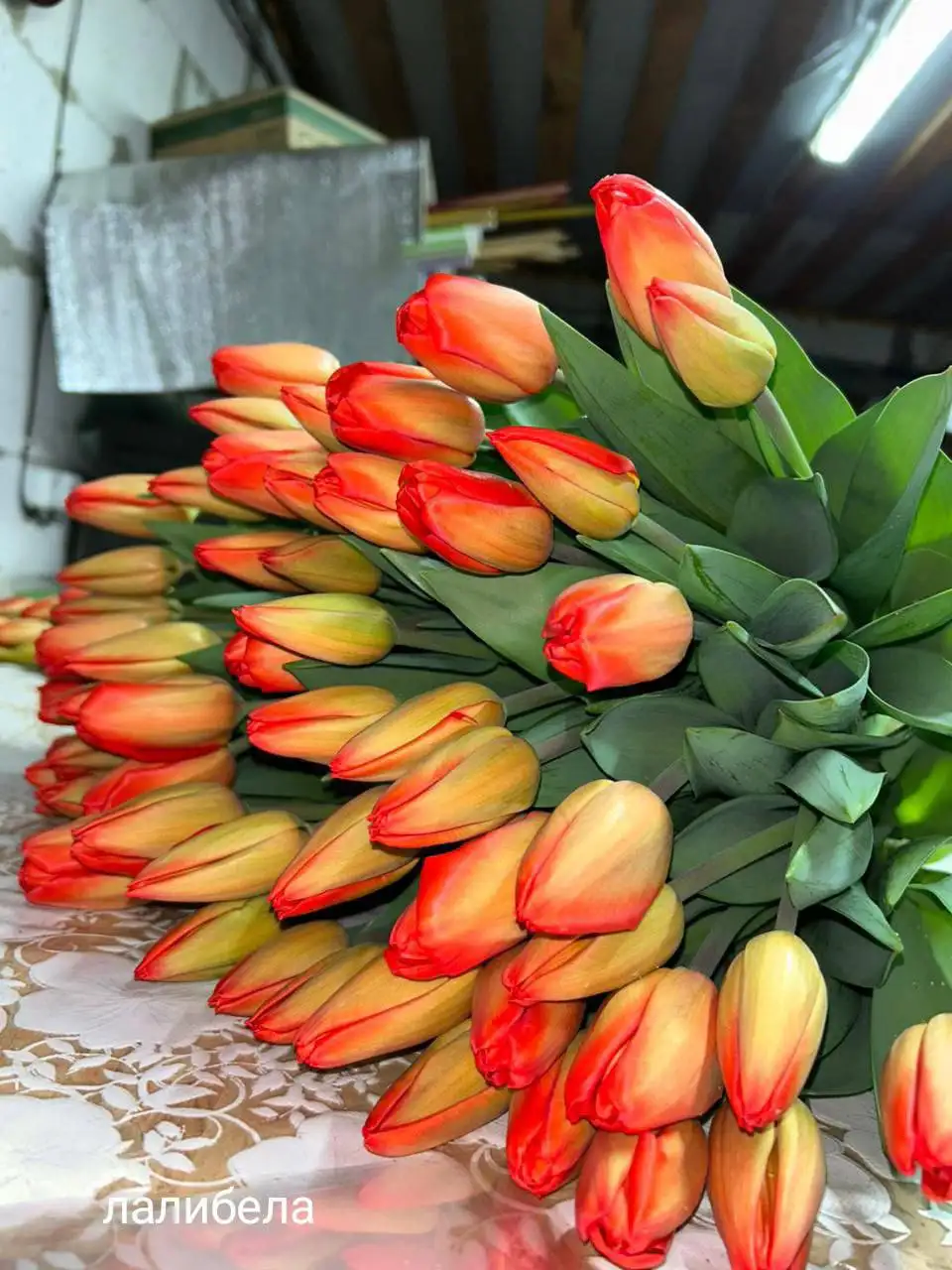 Тюльпаны к 8 марта с доставкой - Цветы (Хобби и отдых) в Белгород