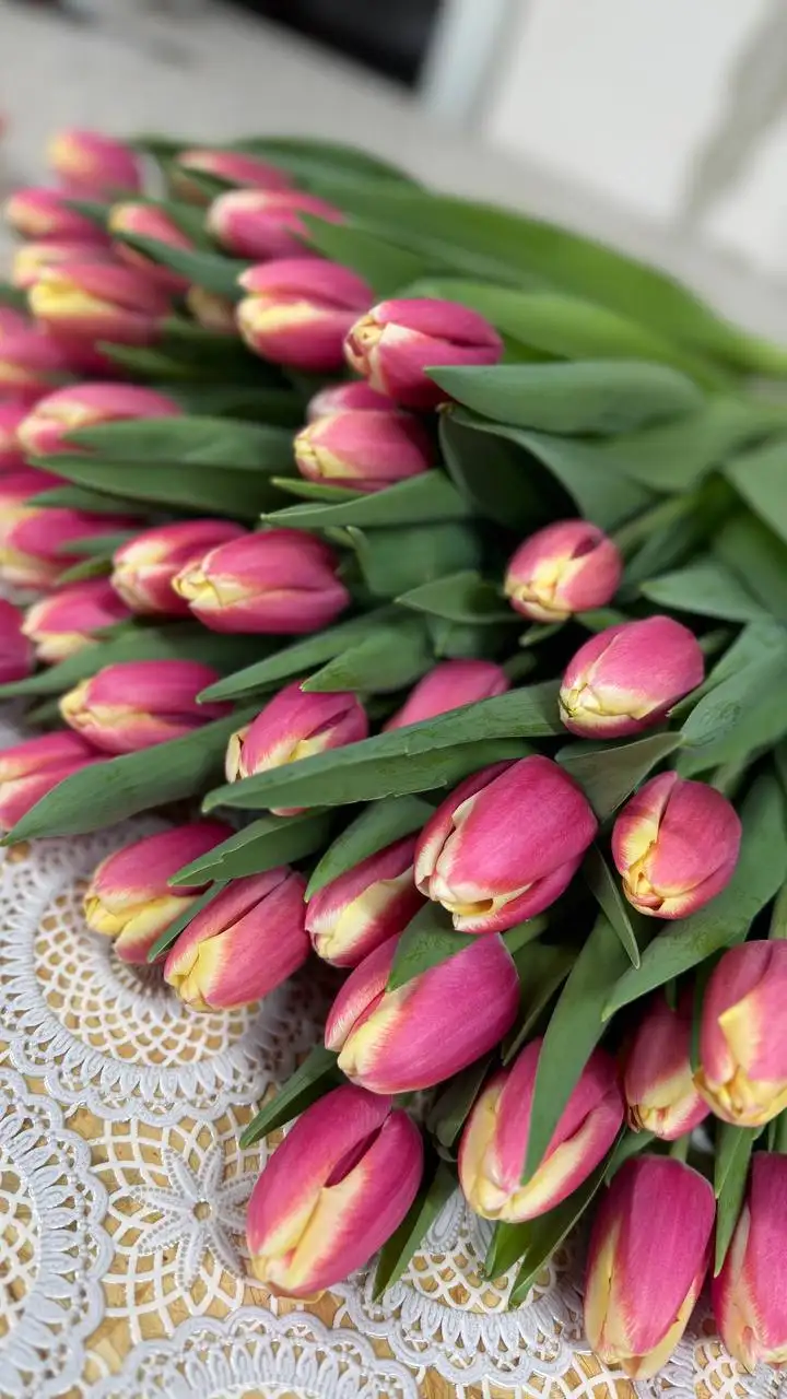 Предзаказ тюльпанов к 8 марта - Цветы (Хобби и отдых) в Белгород