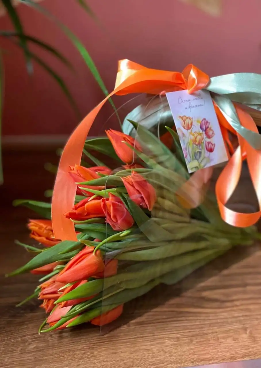 Предзаказ тюльпанов к 8 марта - Цветы (Хобби и отдых) в Белгород
