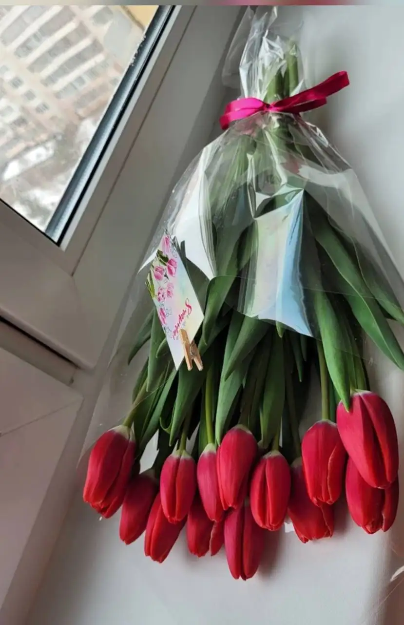 Предзаказ тюльпанов к 8 марта - Цветы (Хобби и отдых) в Белгород