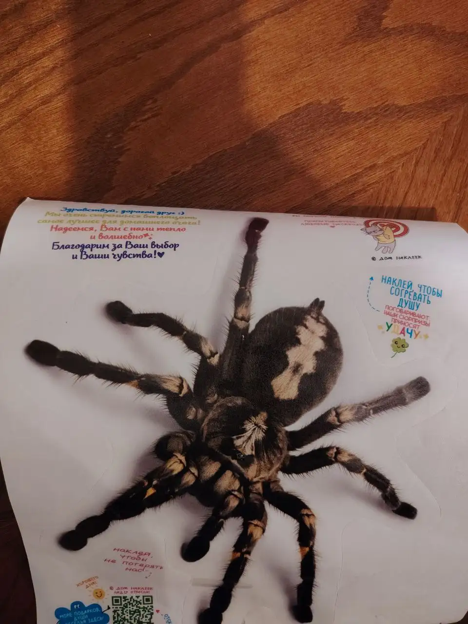 Продажа наклейки на машину - Аксессуары (Авто) в Белгород