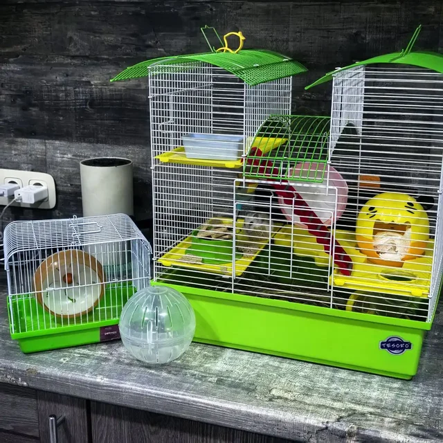 Продам комплект с джунгарским хомяком в подарок - Животные в Люберцы