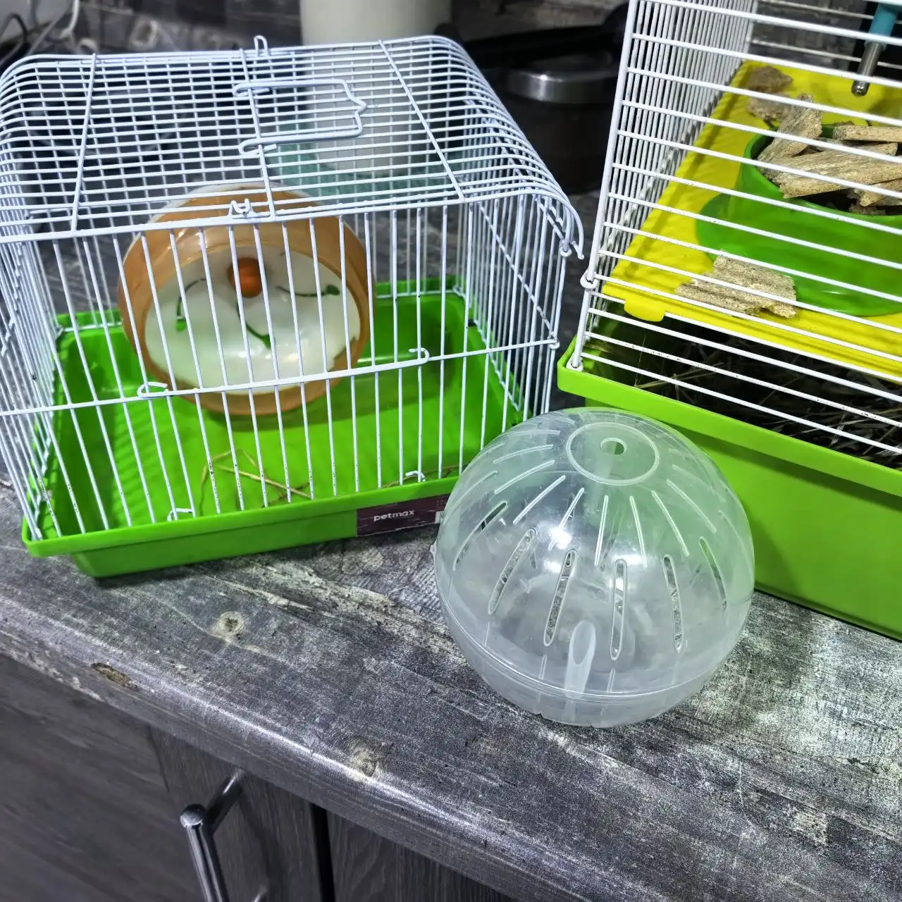 Продам комплект с джунгарским хомяком в подарок