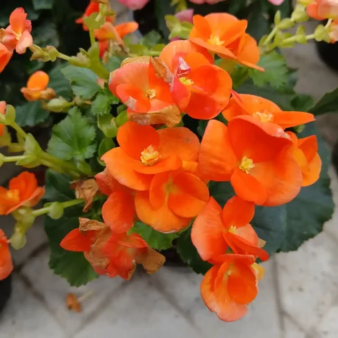 Продажа товара в Люберцах - Услуги в Люберцы