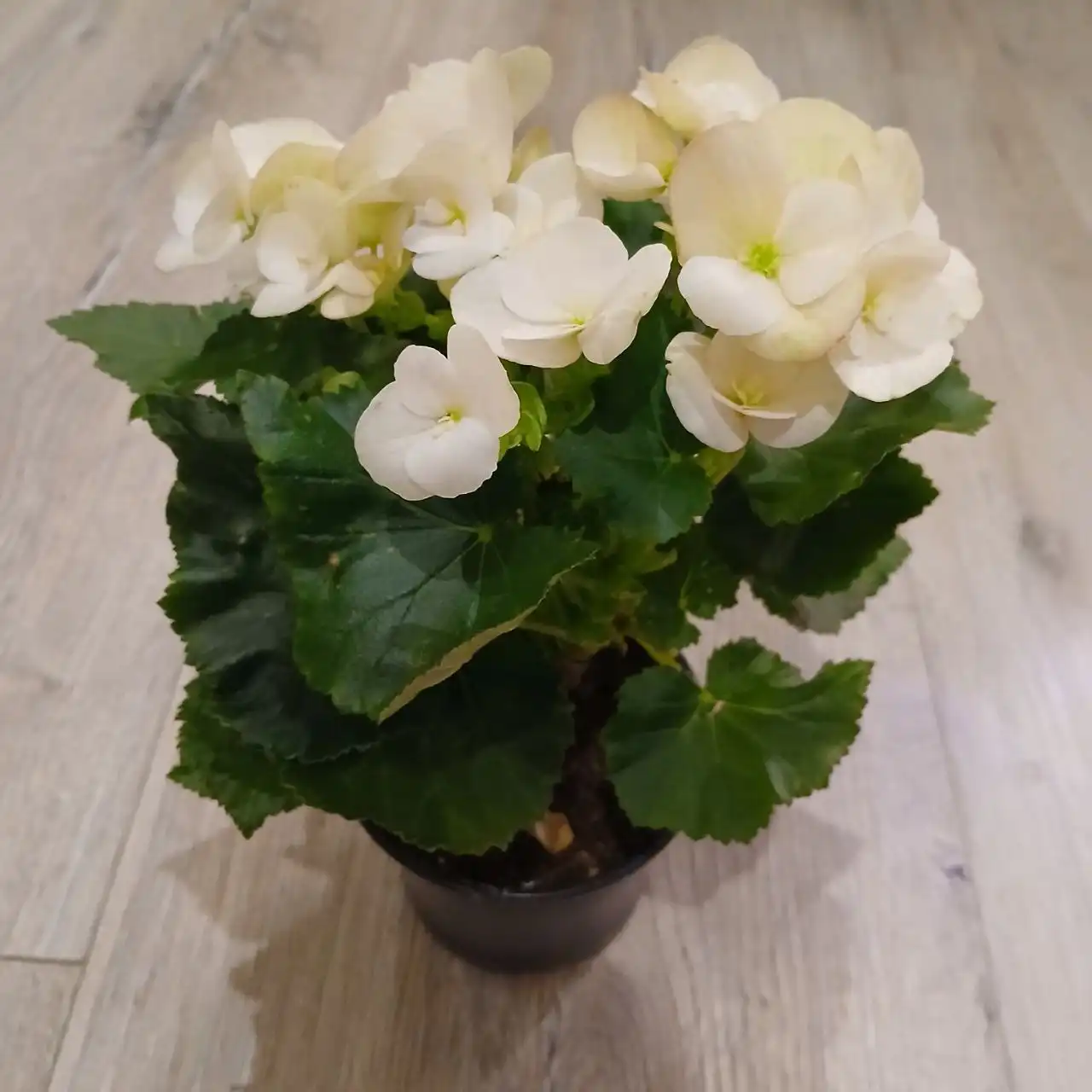 Продажа товара в Люберцах