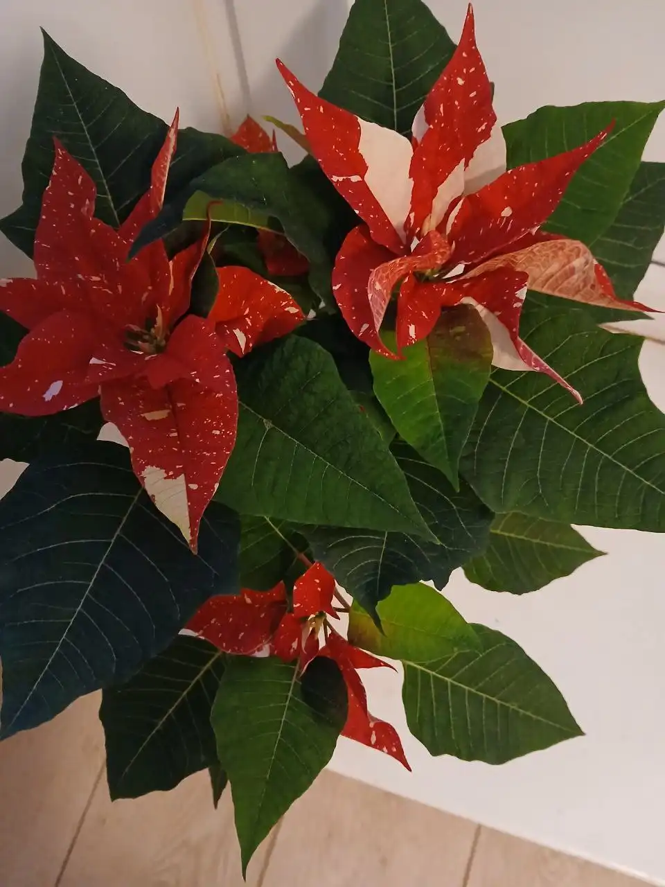 Продажа товара в Люберцах