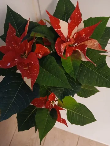 Продажа товара в Люберцах - Барахолка в Люберцы