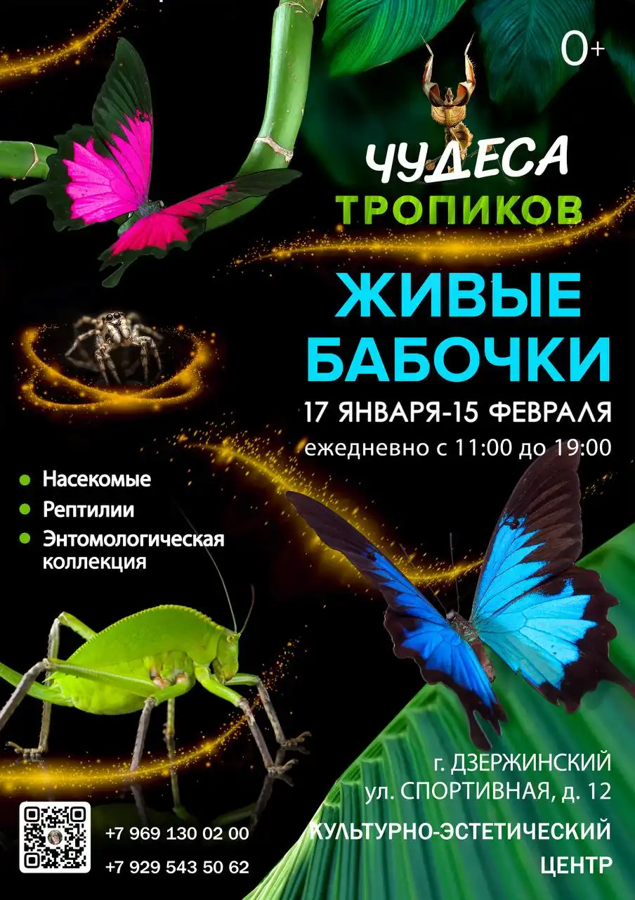 Выставка живых тропических бабочек в Дзержинском - Выставки (Хобби и отдых) в Дзержинский