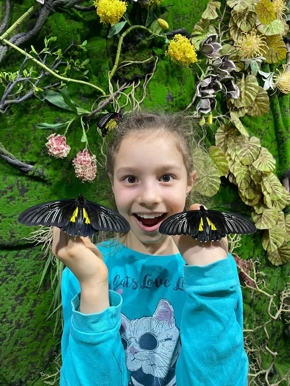 Выставка живых тропических бабочек в Дзержинском - Выставки (Хобби и отдых) в Дзержинский