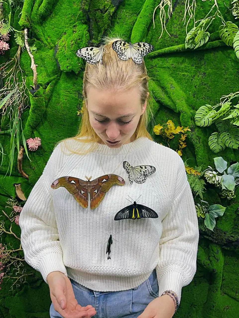 Выставка живых тропических бабочек в Дзержинском - Выставки (Хобби и отдых) в Дзержинский