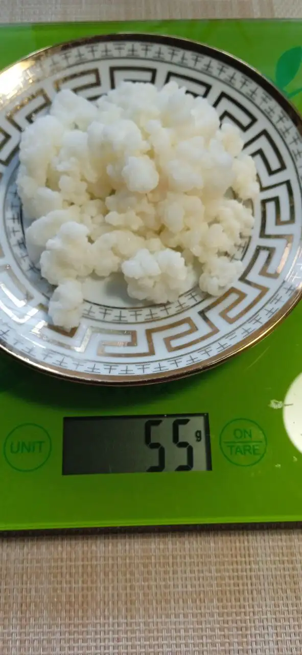 Продажа молочного грибка в Калининграде - Барахолка в Калининград